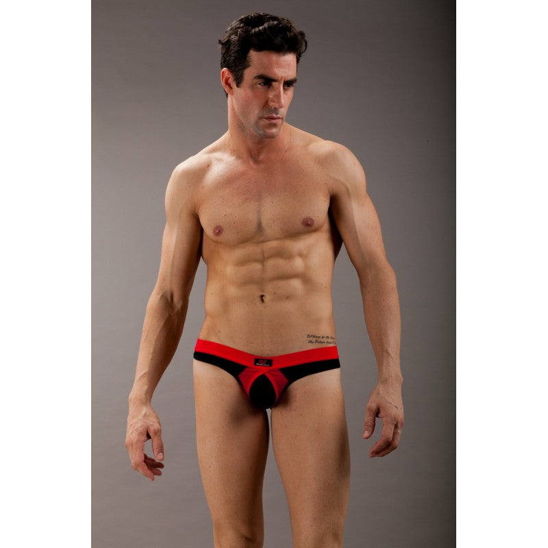 Sheer Mesh Pouch Bikini - UNIQUELY MALE